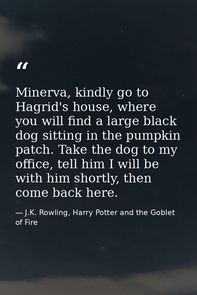 Minerva, kindly go to Hagrid's house, where you will find a large black dog sitting in the pumpkin patch. Take the dog t — J.K. Rowling, Harry Potter and the Goblet of Fire
