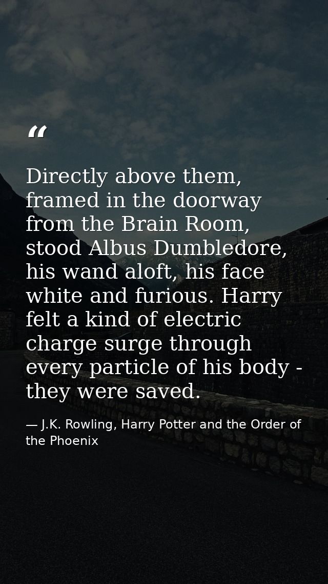 Directly above them, framed in the doorway from the Brain Room, stood Albus Dumbledore, his wand aloft, his face white a — J.K. Rowling, Harry Potter and the Order of the Phoenix