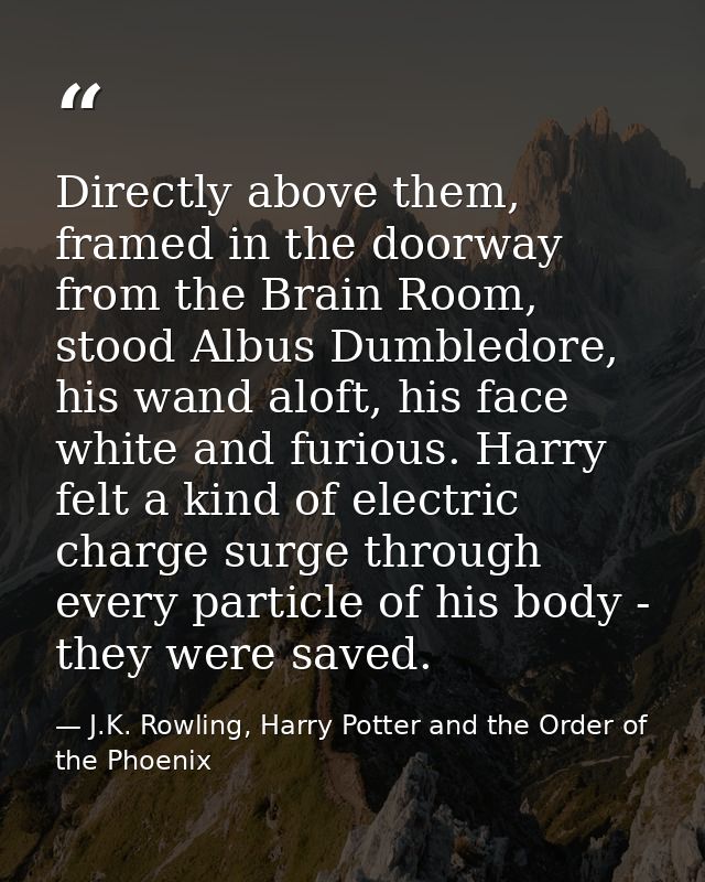 Directly above them, framed in the doorway from the Brain Room, stood Albus Dumbledore, his wand aloft, his face white a — J.K. Rowling, Harry Potter and the Order of the Phoenix