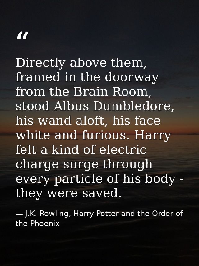 Directly above them, framed in the doorway from the Brain Room, stood Albus Dumbledore, his wand aloft, his face white a — J.K. Rowling, Harry Potter and the Order of the Phoenix