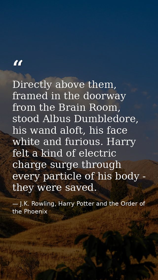 Directly above them, framed in the doorway from the Brain Room, stood Albus Dumbledore, his wand aloft, his face white a — J.K. Rowling, Harry Potter and the Order of the Phoenix