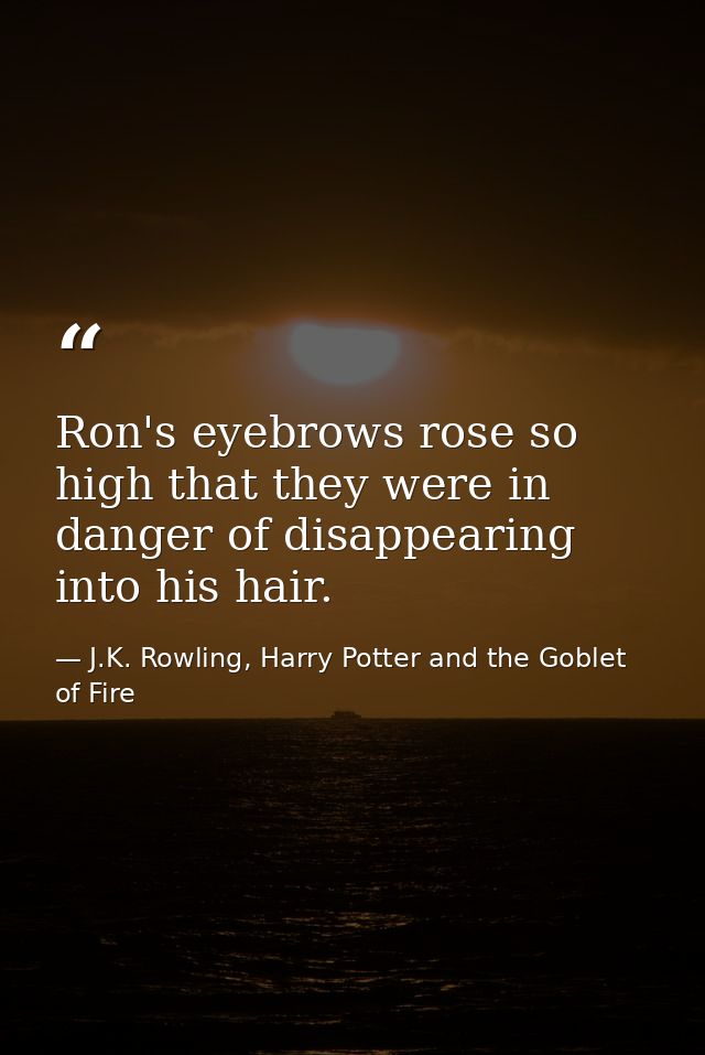 Ron's eyebrows rose so high that they were in danger of disappearing into his hair. — J.K. Rowling, Harry Potter and the Goblet of Fire