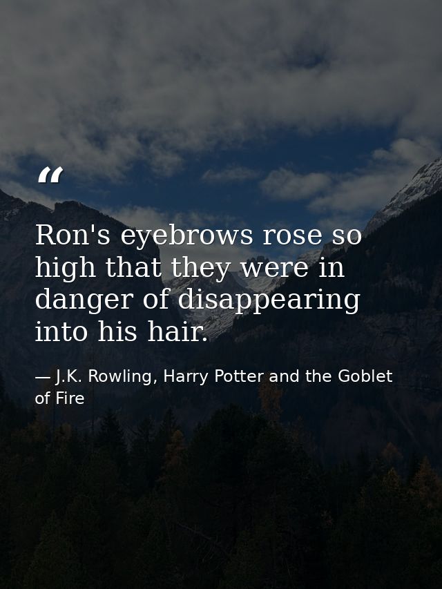 Ron's eyebrows rose so high that they were in danger of disappearing into his hair. — J.K. Rowling, Harry Potter and the Goblet of Fire