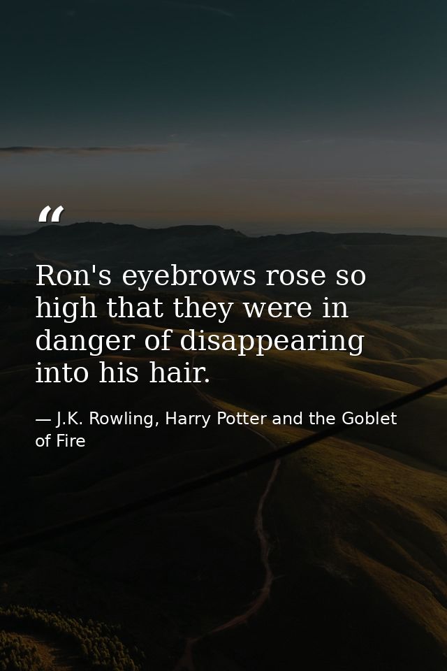 Ron's eyebrows rose so high that they were in danger of disappearing into his hair. — J.K. Rowling, Harry Potter and the Goblet of Fire