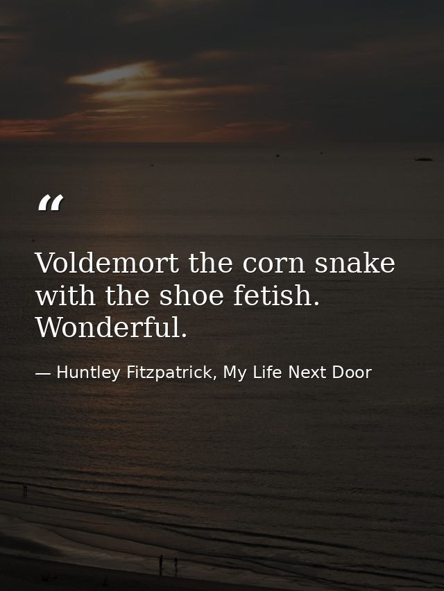 Voldemort the corn snake with the shoe fetish. Wonderful. — Huntley Fitzpatrick, My Life Next Door