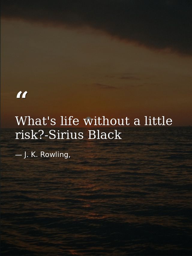 What's life without a little risk?-Sirius Black — J. K. Rowling,
