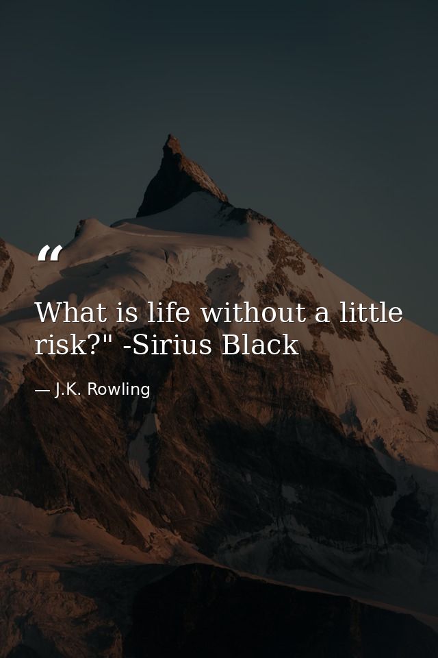 What is life without a little risk?" -Sirius Black — J.K. Rowling