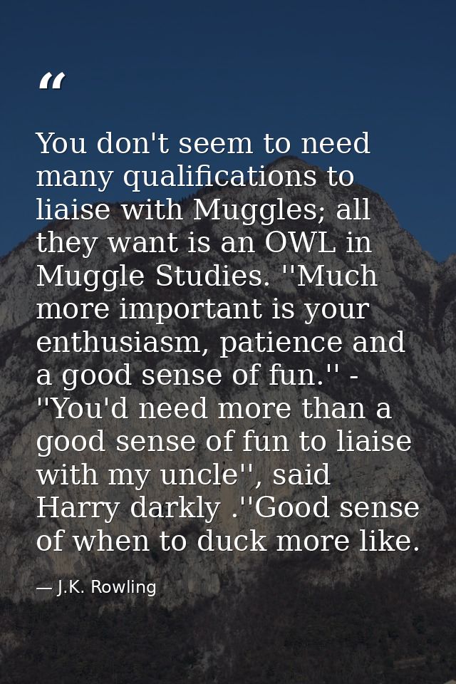 You don't seem to need many qualifications to liaise with Muggles; all they want is an OWL in Muggle Studies. ''Much mor — J.K. Rowling