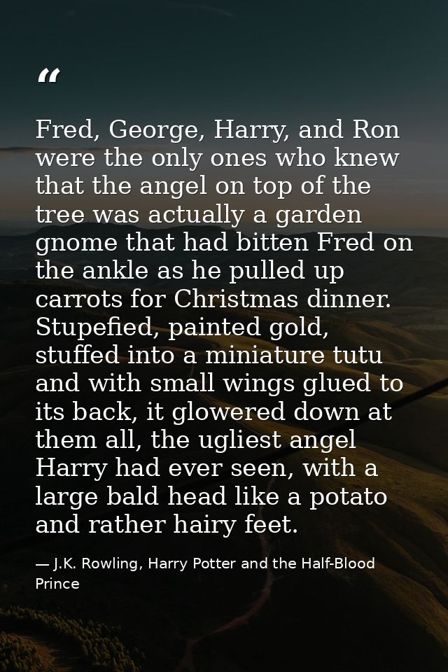 Fred, George, Harry, and Ron were the only ones who knew that the angel on top of the tree was actually a garden gnome t — J.K. Rowling, Harry Potter and the Half-Blood Prince