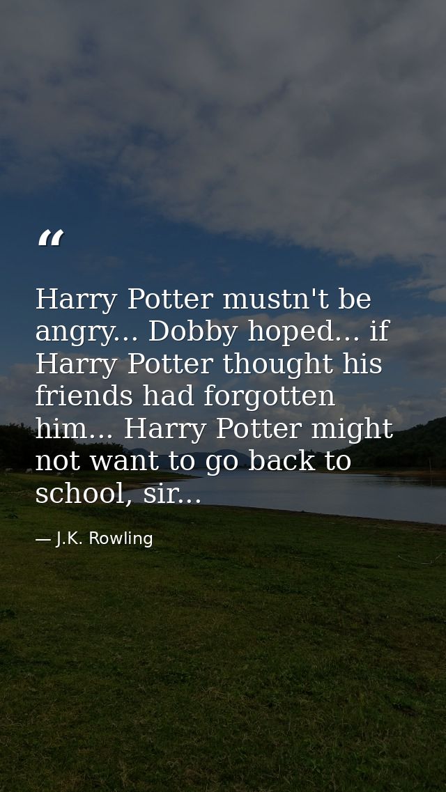 Harry Potter mustn't be angry... Dobby hoped... if Harry Potter thought his friends had forgotten him... Harry Potter mi — J.K. Rowling