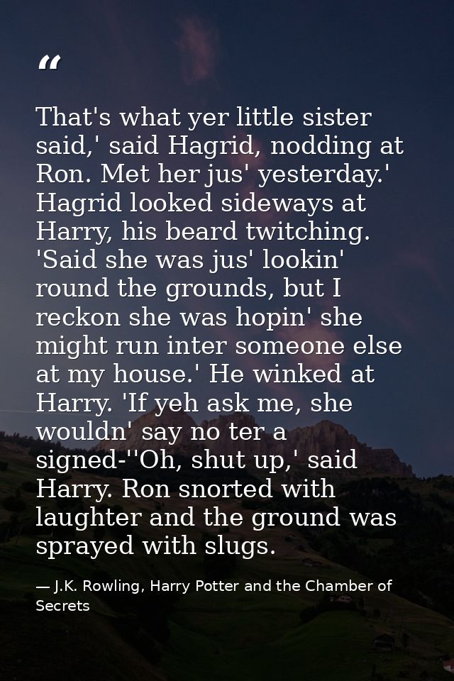 That's what yer little sister said,' said Hagrid, nodding at Ron. Met her jus' yesterday.' Hagrid looked sideways at Har — J.K. Rowling, Harry Potter and the Chamber of Secrets
