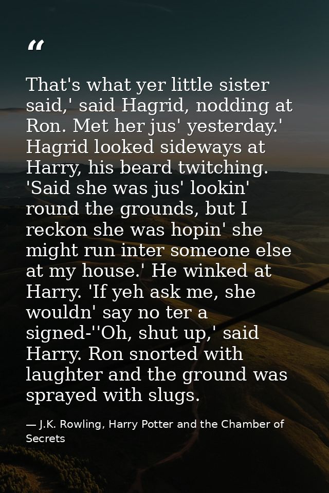 That's what yer little sister said,' said Hagrid, nodding at Ron. Met her jus' yesterday.' Hagrid looked sideways at Har — J.K. Rowling, Harry Potter and the Chamber of Secrets