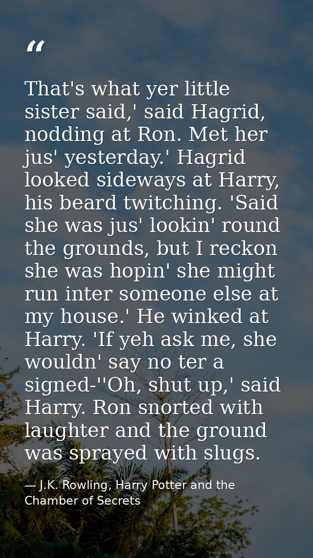 That's what yer little sister said,' said Hagrid, nodding at Ron. Met her jus' yesterday.' Hagrid looked sideways at Har — J.K. Rowling, Harry Potter and the Chamber of Secrets