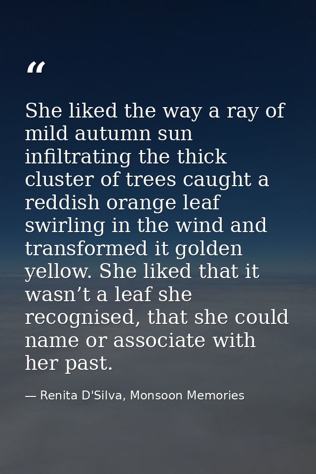 She liked the way a ray of mild autumn sun infiltrating the thick cluster of trees caught a reddish orange leaf swirling — Renita D'Silva, Monsoon Memories