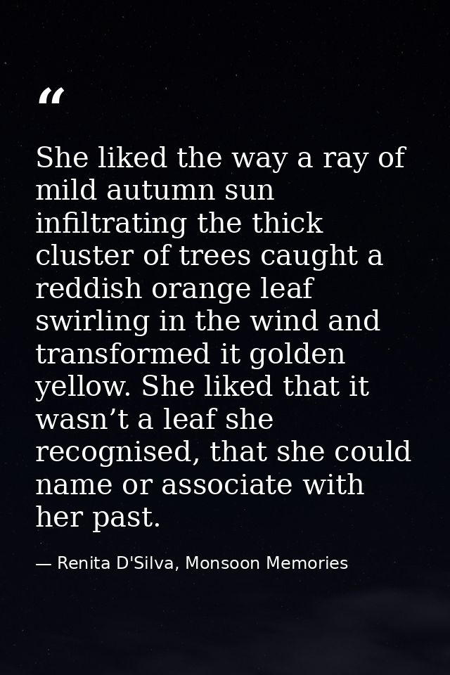 She liked the way a ray of mild autumn sun infiltrating the thick cluster of trees caught a reddish orange leaf swirling — Renita D'Silva, Monsoon Memories