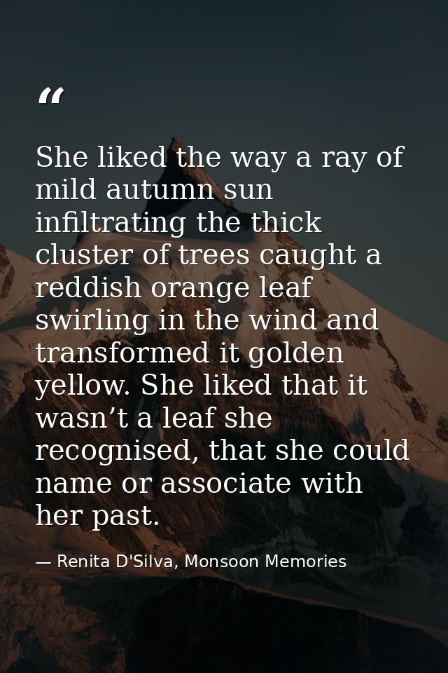 She liked the way a ray of mild autumn sun infiltrating the thick cluster of trees caught a reddish orange leaf swirling — Renita D'Silva, Monsoon Memories