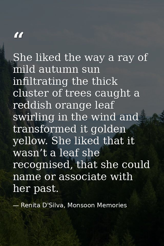 She liked the way a ray of mild autumn sun infiltrating the thick cluster of trees caught a reddish orange leaf swirling — Renita D'Silva, Monsoon Memories