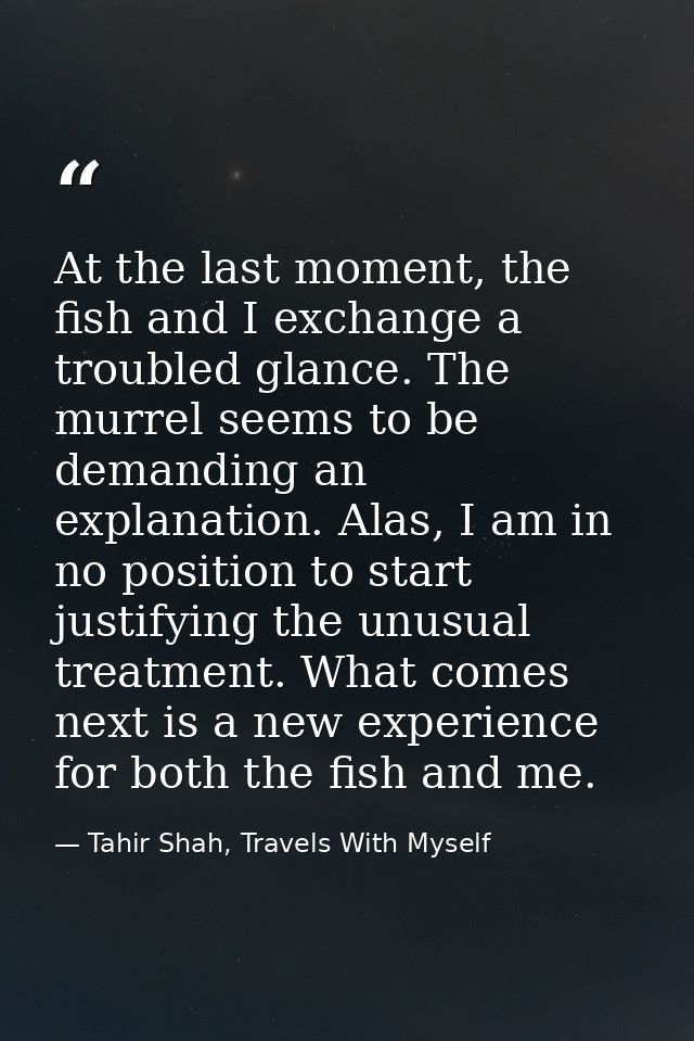 At the last moment, the fish and I exchange a troubled glance. The murrel seems to be demanding an explanation. Alas, I  — Tahir Shah, Travels With Myself