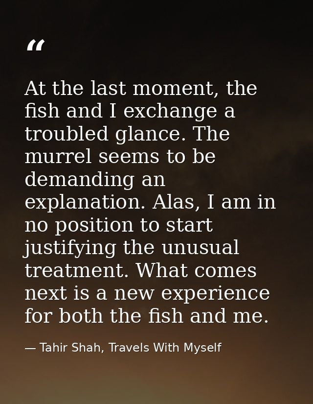 At the last moment, the fish and I exchange a troubled glance. The murrel seems to be demanding an explanation. Alas, I  — Tahir Shah, Travels With Myself