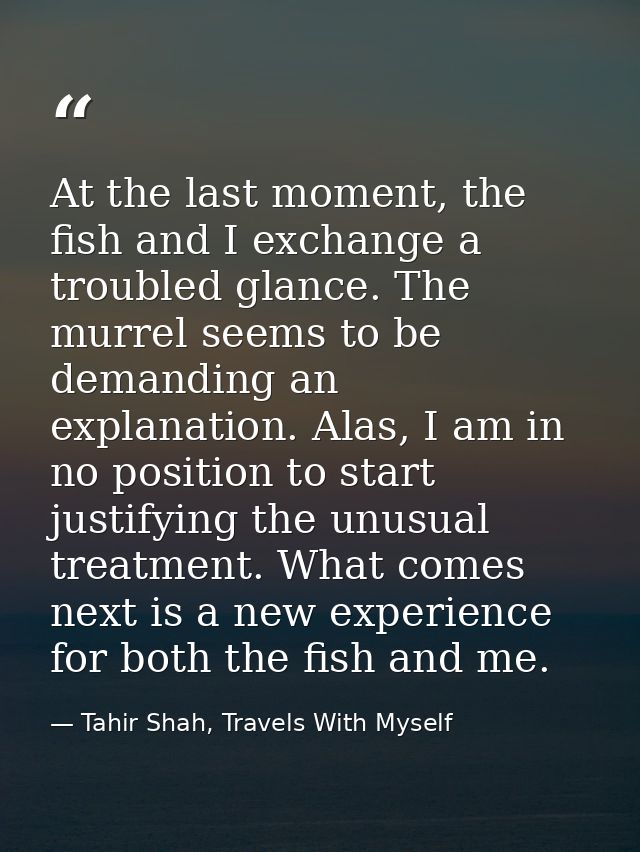At the last moment, the fish and I exchange a troubled glance. The murrel seems to be demanding an explanation. Alas, I  — Tahir Shah, Travels With Myself