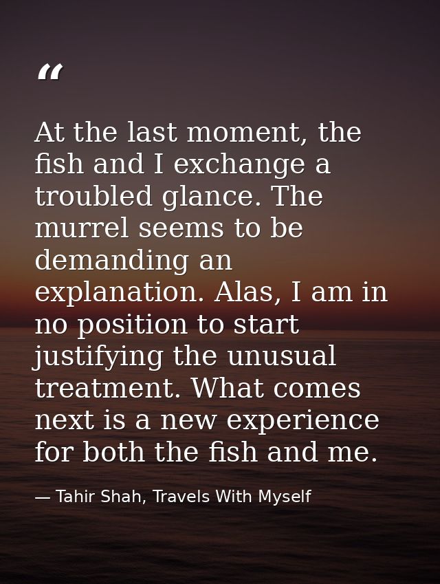At the last moment, the fish and I exchange a troubled glance. The murrel seems to be demanding an explanation. Alas, I  — Tahir Shah, Travels With Myself