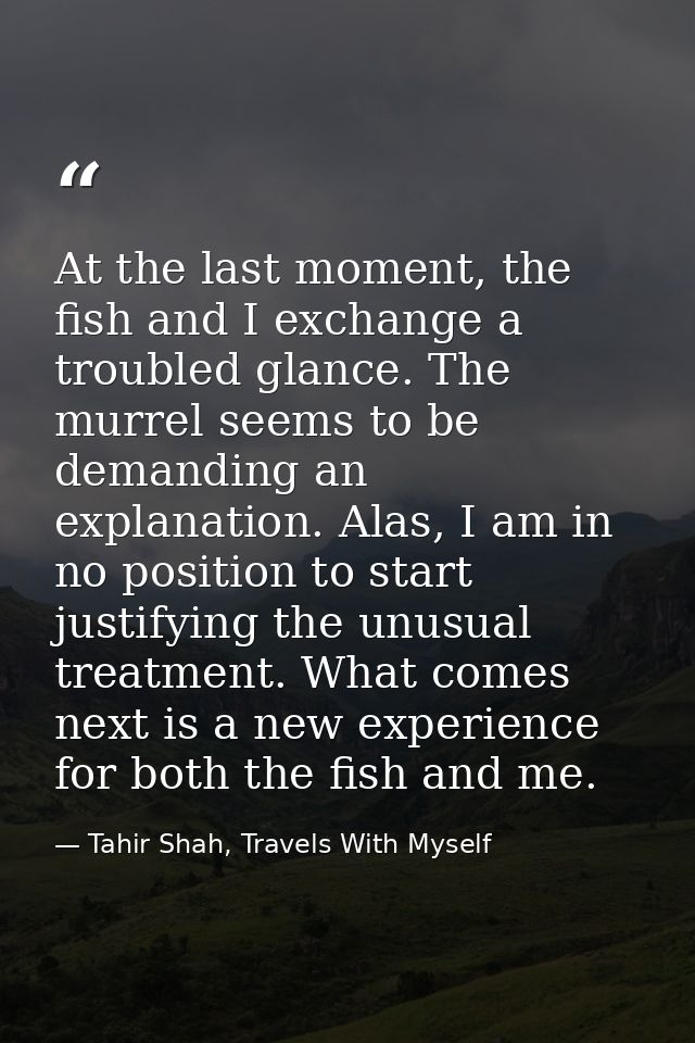 At the last moment, the fish and I exchange a troubled glance. The murrel seems to be demanding an explanation. Alas, I  — Tahir Shah, Travels With Myself