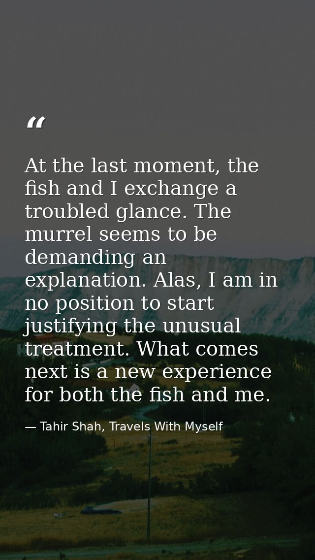At the last moment, the fish and I exchange a troubled glance. The murrel seems to be demanding an explanation. Alas, I  — Tahir Shah, Travels With Myself