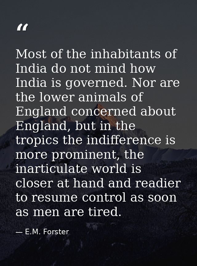 Most of the inhabitants of India do not mind how India is governed. Nor are the lower animals of England concerned about — E.M. Forster