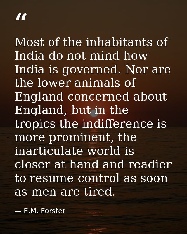 Most of the inhabitants of India do not mind how India is governed. Nor are the lower animals of England concerned about — E.M. Forster