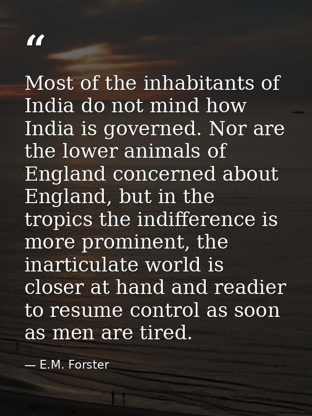 Most of the inhabitants of India do not mind how India is governed. Nor are the lower animals of England concerned about — E.M. Forster