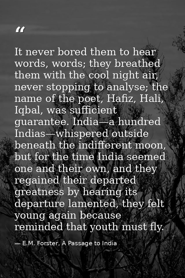 It never bored them to hear words, words; they breathed them with the cool night air, never stopping to analyse; the nam — E.M. Forster, A Passage to India