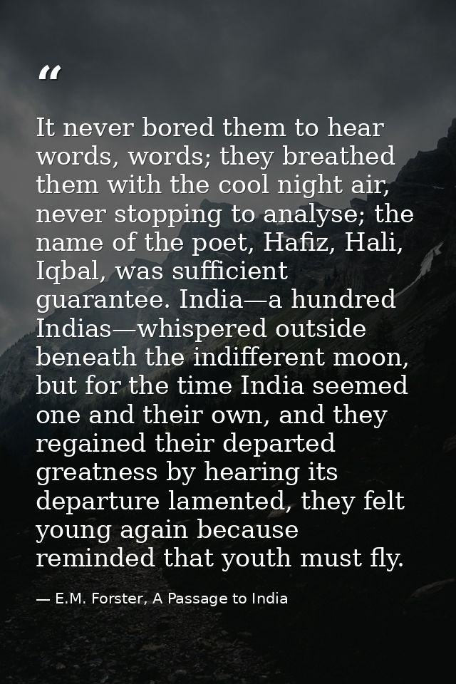 It never bored them to hear words, words; they breathed them with the cool night air, never stopping to analyse; the nam — E.M. Forster, A Passage to India