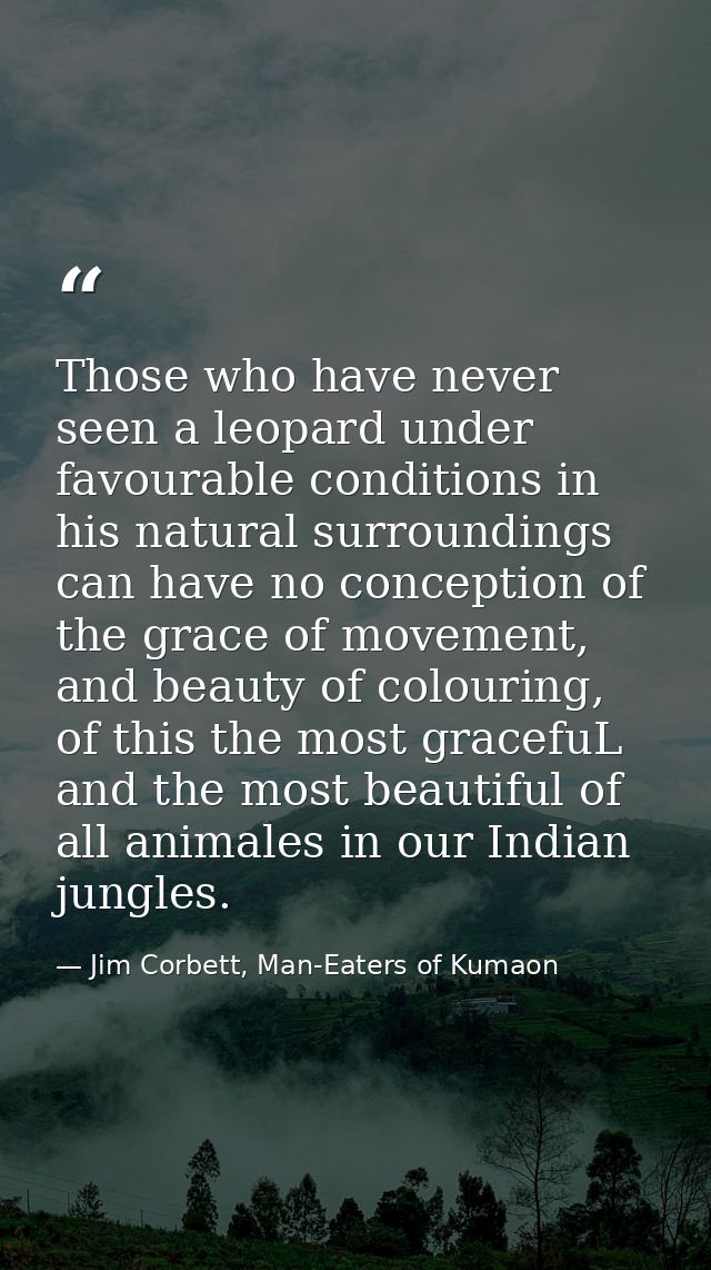 Those who have never seen a leopard under favourable conditions in his natural surroundings can have no conception of th — Jim Corbett, Man-Eaters of Kumaon