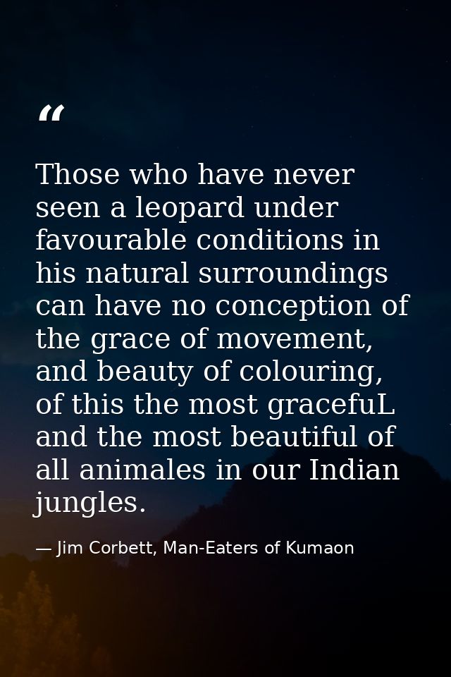 Those who have never seen a leopard under favourable conditions in his natural surroundings can have no conception of th — Jim Corbett, Man-Eaters of Kumaon