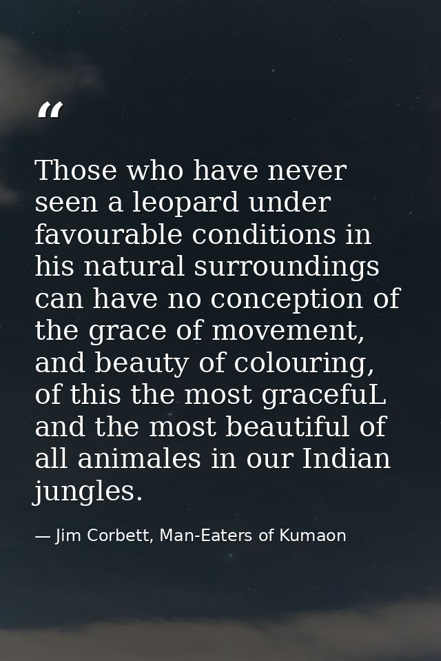 Those who have never seen a leopard under favourable conditions in his natural surroundings can have no conception of th — Jim Corbett, Man-Eaters of Kumaon