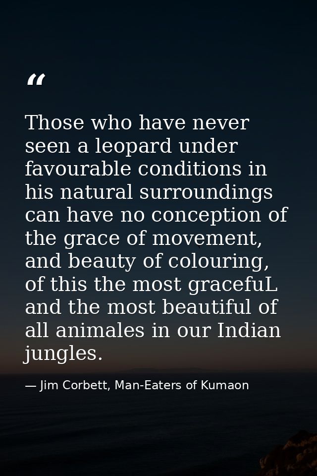 Those who have never seen a leopard under favourable conditions in his natural surroundings can have no conception of th — Jim Corbett, Man-Eaters of Kumaon
