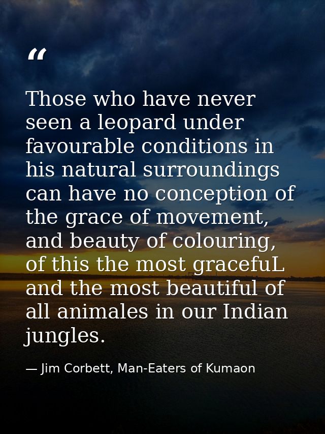 Those who have never seen a leopard under favourable conditions in his natural surroundings can have no conception of th — Jim Corbett, Man-Eaters of Kumaon
