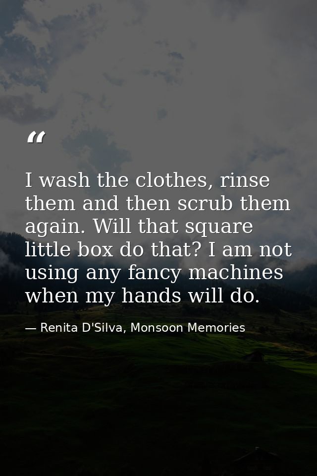 I wash the clothes, rinse them and then scrub them again. Will that square little box do that? I am not using any fancy  — Renita D'Silva, Monsoon Memories