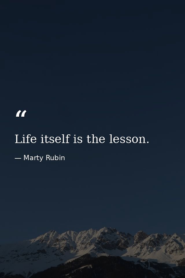Life itself is the lesson. — Marty Rubin