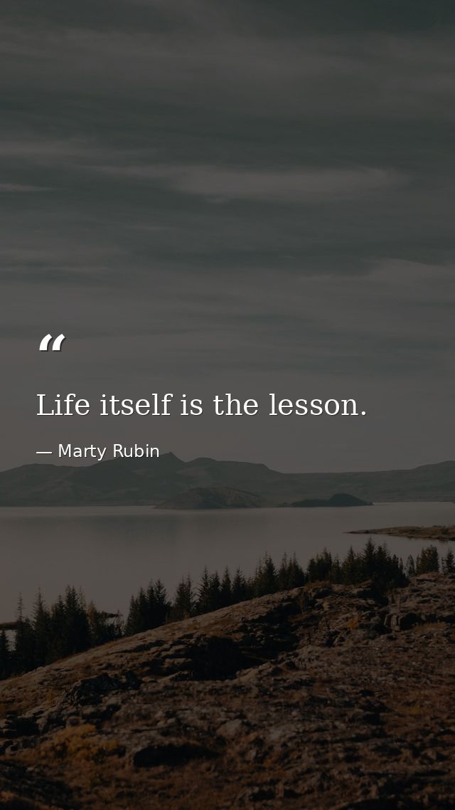 Life itself is the lesson. — Marty Rubin