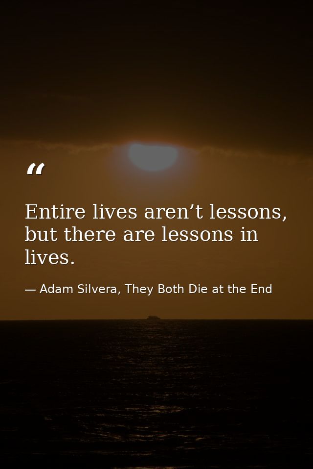 Entire lives aren’t lessons, but there are lessons in lives. — Adam Silvera, They Both Die at the End