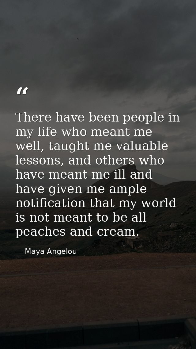 There have been people in my life who meant me well, taught me valuable lessons, and others who have meant me ill and ha — Maya Angelou