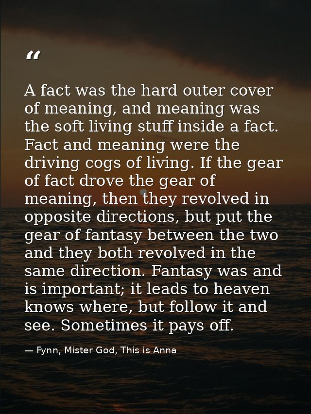 A fact was the hard outer cover of meaning, and meaning was the soft living stuff inside a fact. Fact and meaning were t — Fynn, Mister God, This is Anna