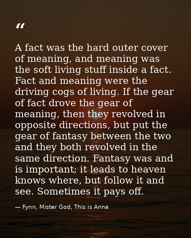 A fact was the hard outer cover of meaning, and meaning was the soft living stuff inside a fact. Fact and meaning were t — Fynn, Mister God, This is Anna