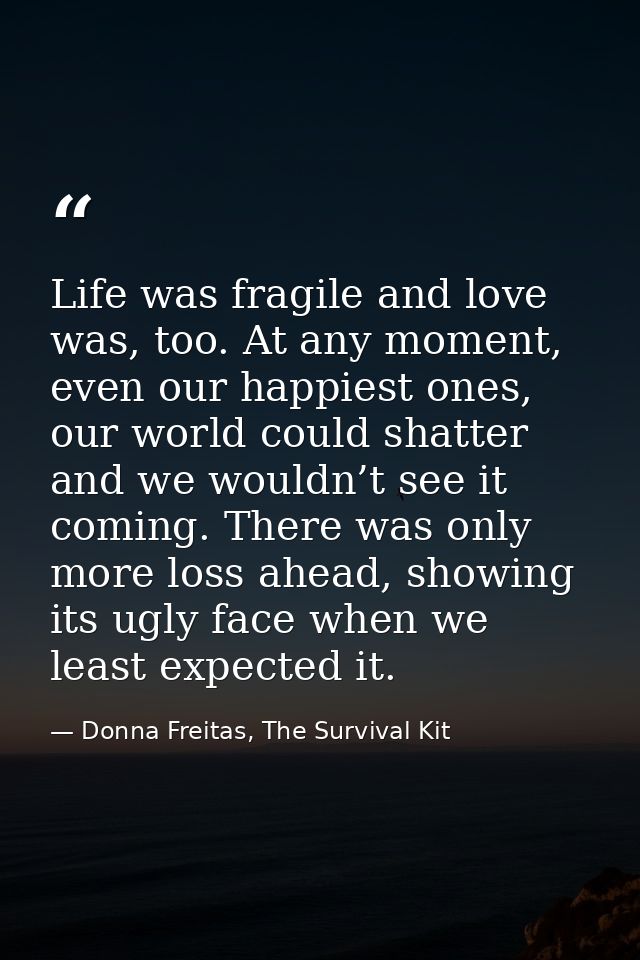 Life was fragile and love was, too. At any moment, even our happiest ones, our world could shatter and we wouldn’t see i — Donna Freitas, The Survival Kit