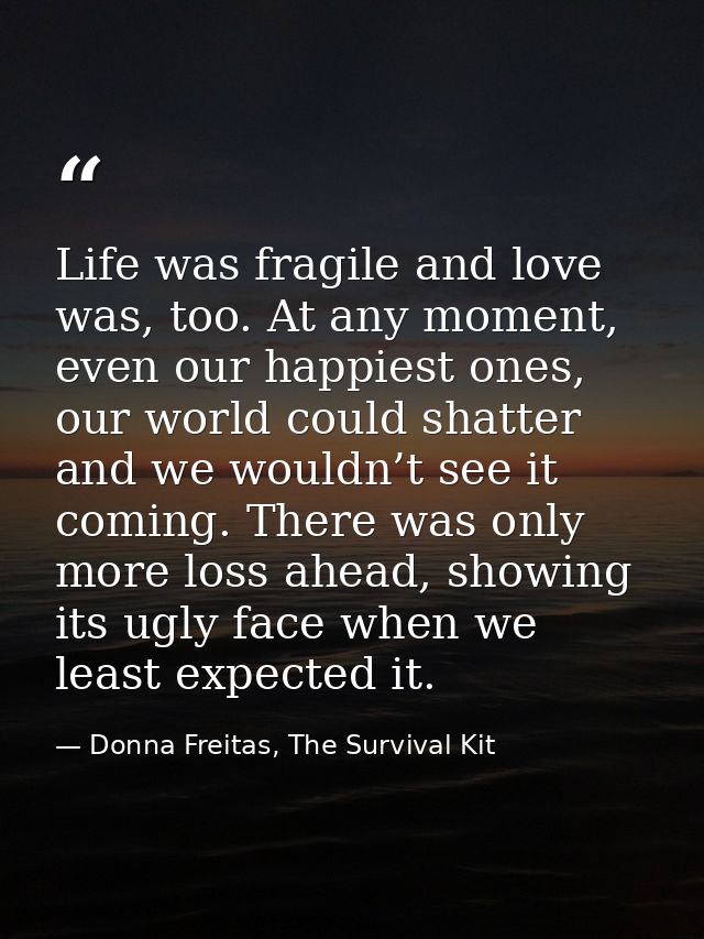 Life was fragile and love was, too. At any moment, even our happiest ones, our world could shatter and we wouldn’t see i — Donna Freitas, The Survival Kit