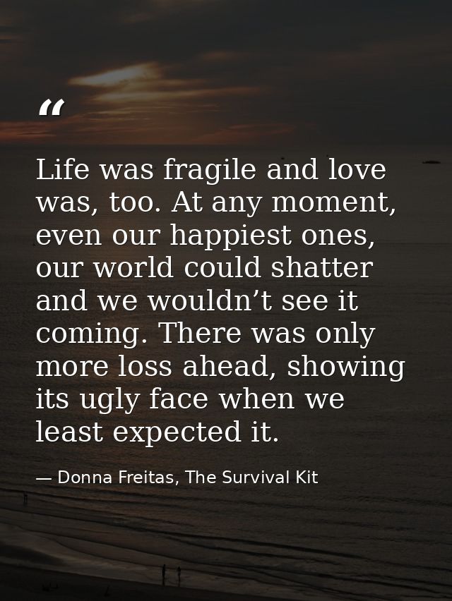 Life was fragile and love was, too. At any moment, even our happiest ones, our world could shatter and we wouldn’t see i — Donna Freitas, The Survival Kit