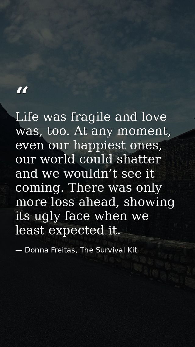Life was fragile and love was, too. At any moment, even our happiest ones, our world could shatter and we wouldn’t see i — Donna Freitas, The Survival Kit