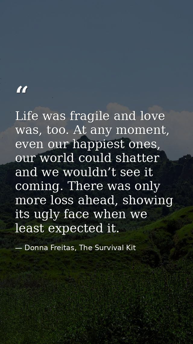 Life was fragile and love was, too. At any moment, even our happiest ones, our world could shatter and we wouldn’t see i — Donna Freitas, The Survival Kit