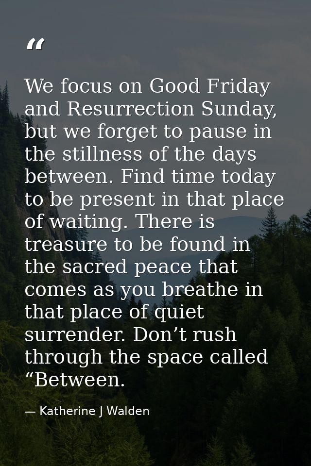 We focus on Good Friday and Resurrection Sunday, but we forget to pause in the stillness of the days between. Find time  — Katherine J Walden